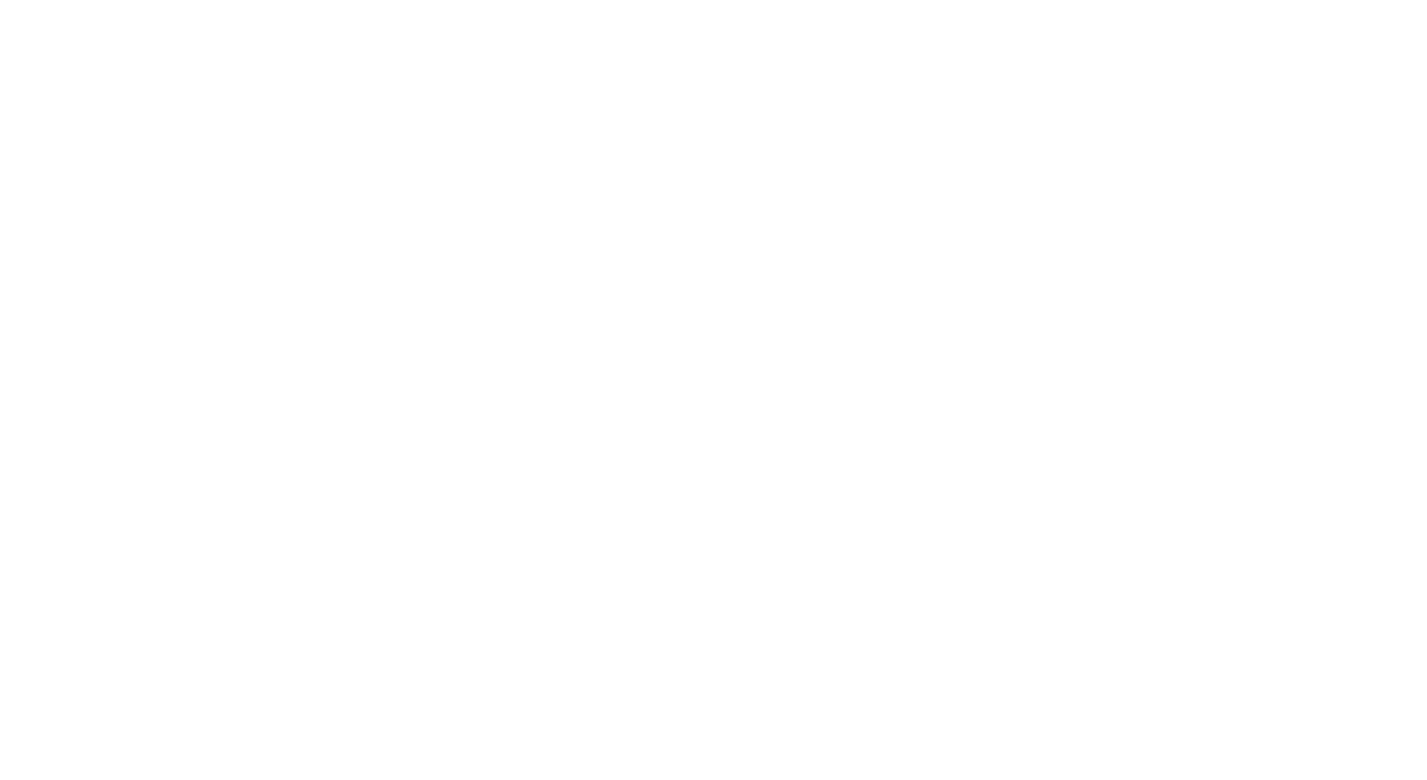 Logo blanc les 3 moustiquaires